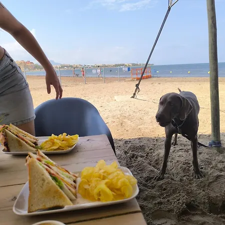 La Sirenita N A 100 M De La Playa Con Arena Fina *