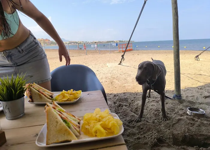 La Sirenita N A 100 M De La Playa Con Arena Fina *